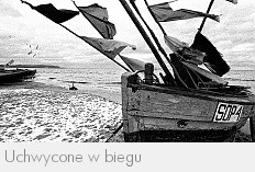 Uchwycone w biegu